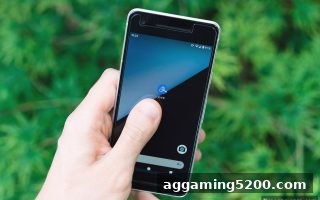真人电子游戏平台Evolution：数字货币提现限制更新与新人奖励全解析