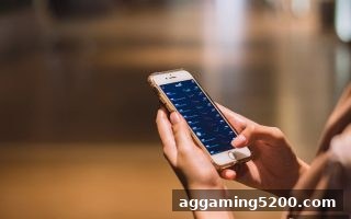 真人电子游戏平台数字货币出款手续费计算全攻略：PC客户端实用技巧与深度解析