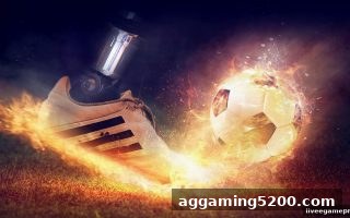 真人电子游戏玩法解析：彩票组号与单号的核心区别与实战策略
