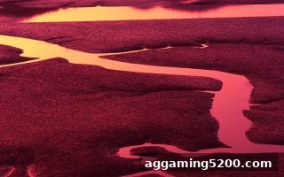 真人电子游戏选号攻略：自选与机选的理性博弈