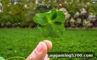 真人电子游戏获奖后的心理调适：深度理解概率与随机性