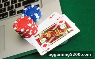 报牌频率深度解析：真人电子游戏玩家必知的数据密码