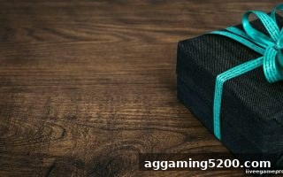 新人专享福利：真人电子游戏首存加倍计划