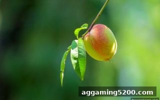 真人电子游戏洗码返佣规则全解析：2025最新玩法与收益指南