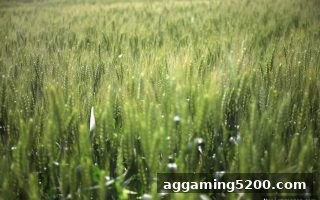 真人电子游戏新手福利全攻略：从注册到提现的每一步