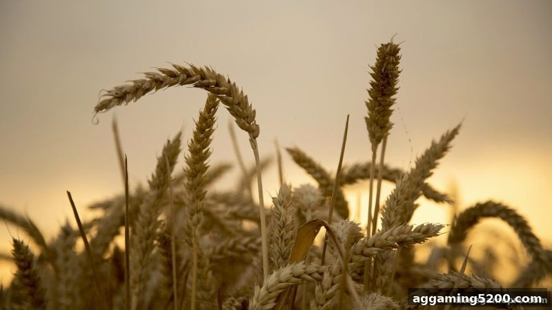 真人电子游戏亏损补偿计划：完整指南与优化策略