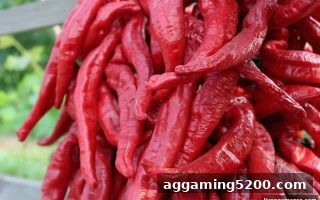 真人电子游戏首存赠送活动全攻略：ka电子新用户专属福利详解