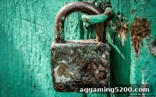 真人电子游戏平台财神电子：资金流动法律合规深度解析与风险规避指南