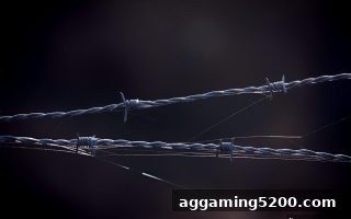 真人电子游戏玩家必读：支付宝充值风控全攻略