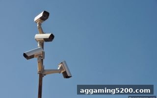 真人电子游戏时代：从平台监管到捕鱼炮台策略的全面指南