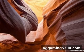 真人电子游戏中的特殊符号全解析：Wild、Scatter与Bonus的玩法奥秘