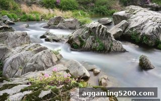 真人电子游戏充值首选：支付宝如何优化比分预测体验
