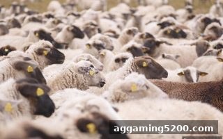 真人电子游戏波胆攻略：深度解析比分玩法的概率、策略与风险控制